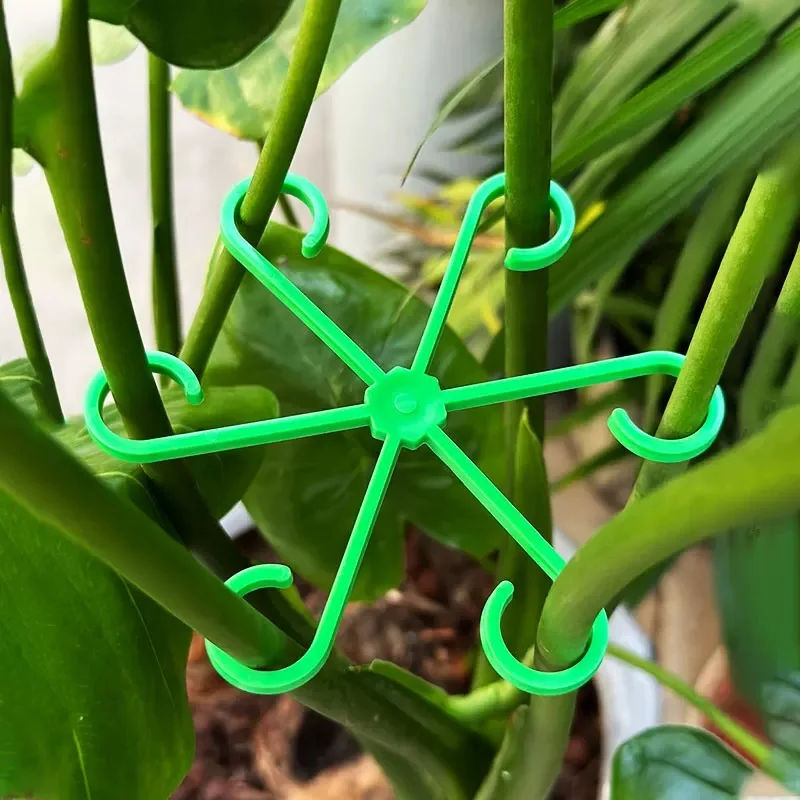 Flower Plant Stem Support Stak - Supply For Florist review and price