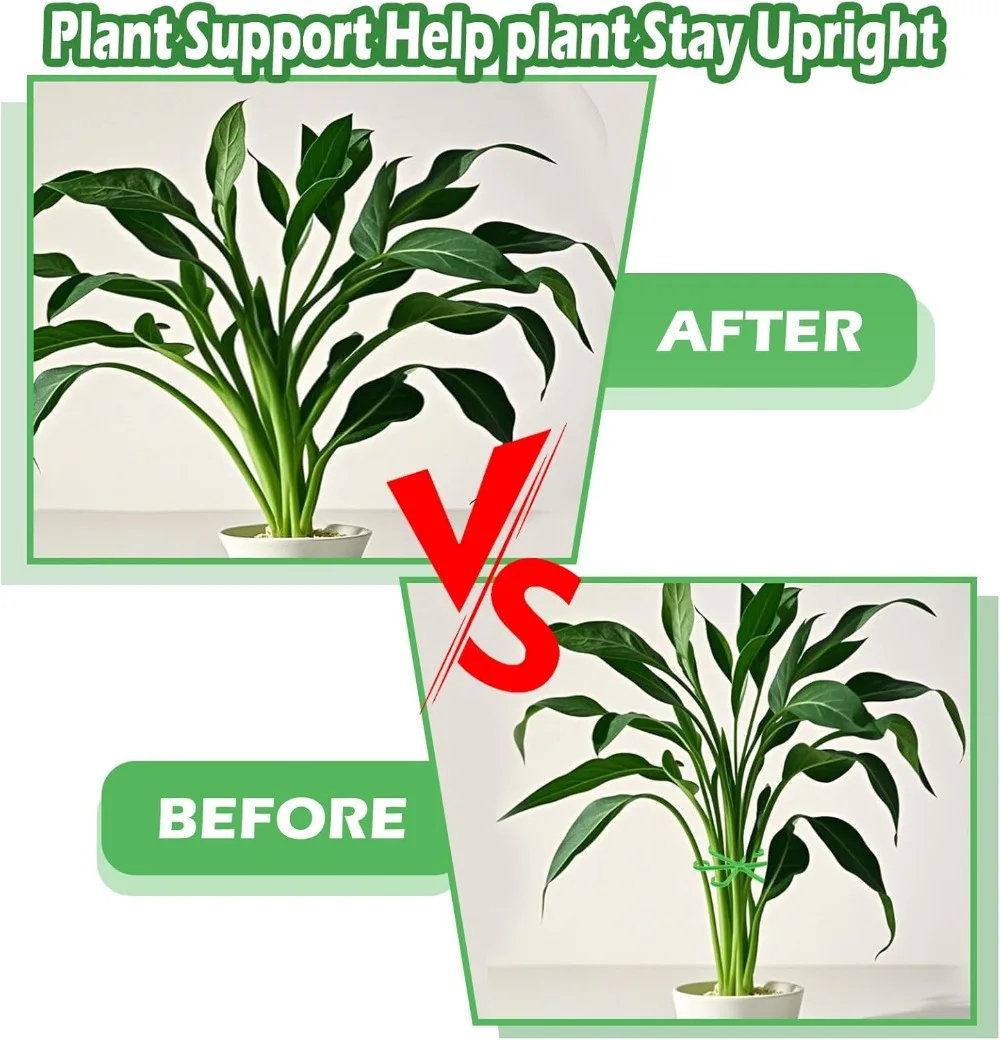 Flower Plant Stem Support Stak - Supply For Florist review and price