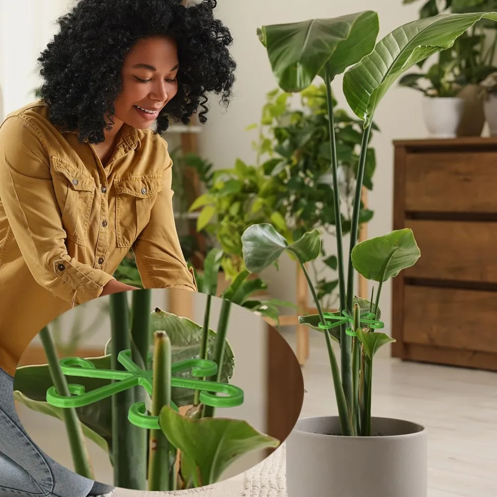 Flower Plant Stem Support Stak - Supply For Florist review and price