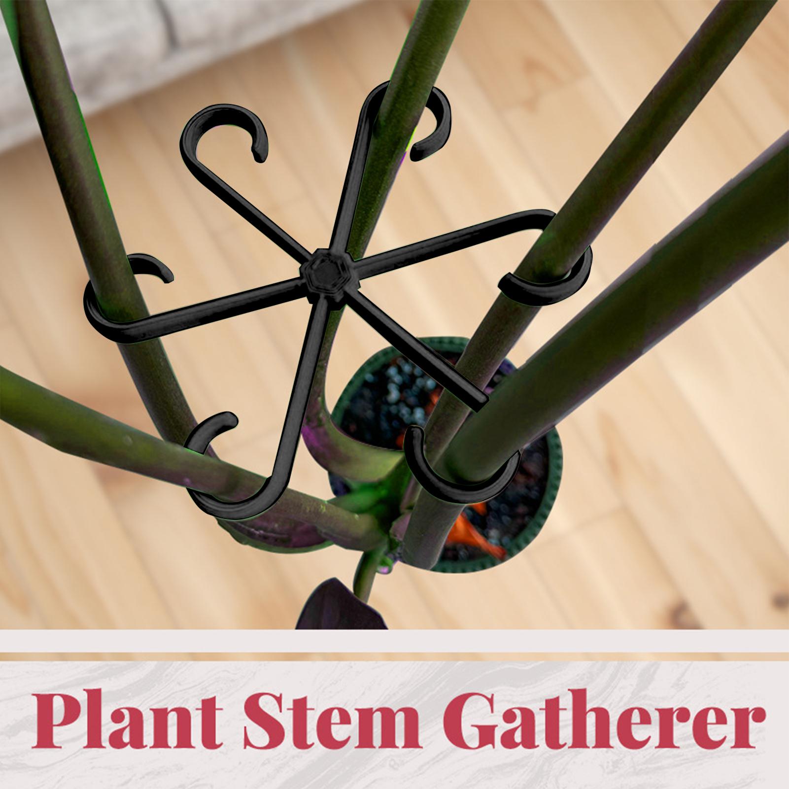 4pcs Plant Stem Support Clips  - Supply For Florist review and price