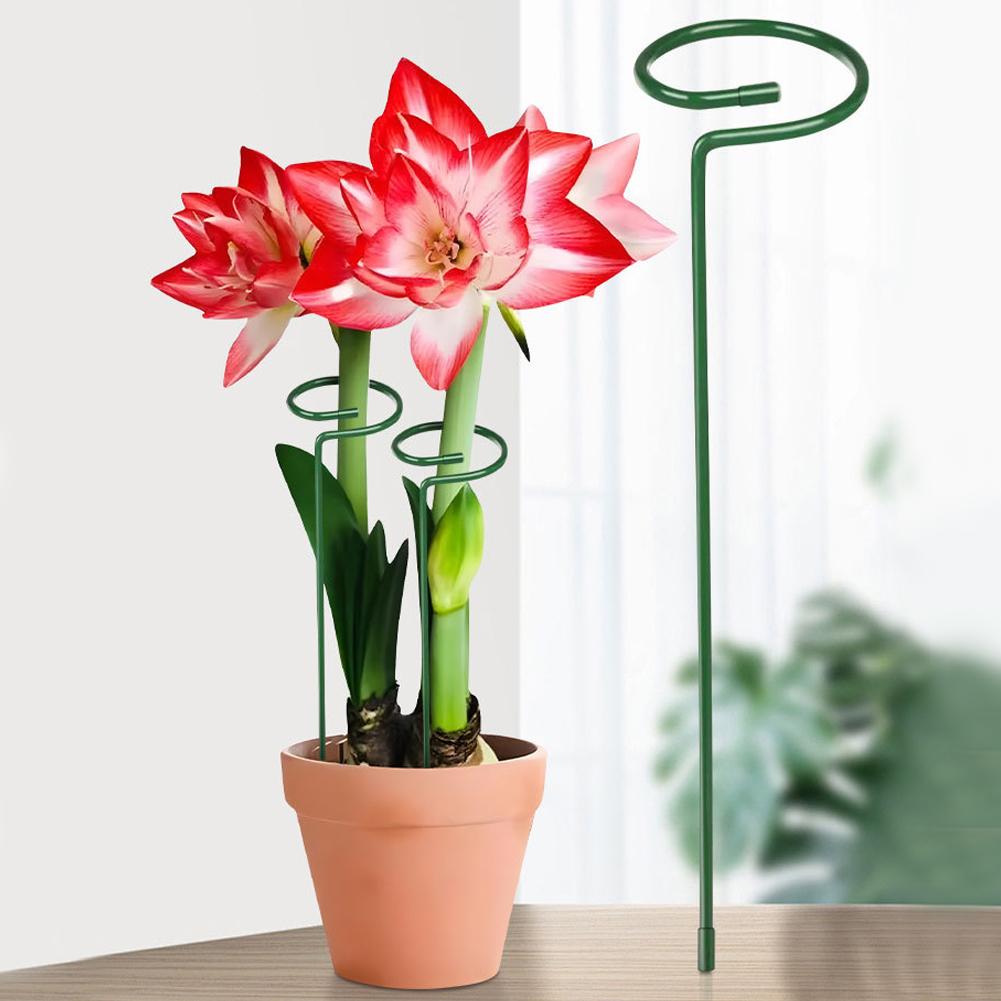Metal Plant Support Rods Garde - Florist Supply Bulk review and price