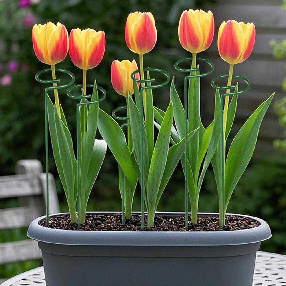 Metal Plant Support Rods Garde - Florist Supply Bulk review and price