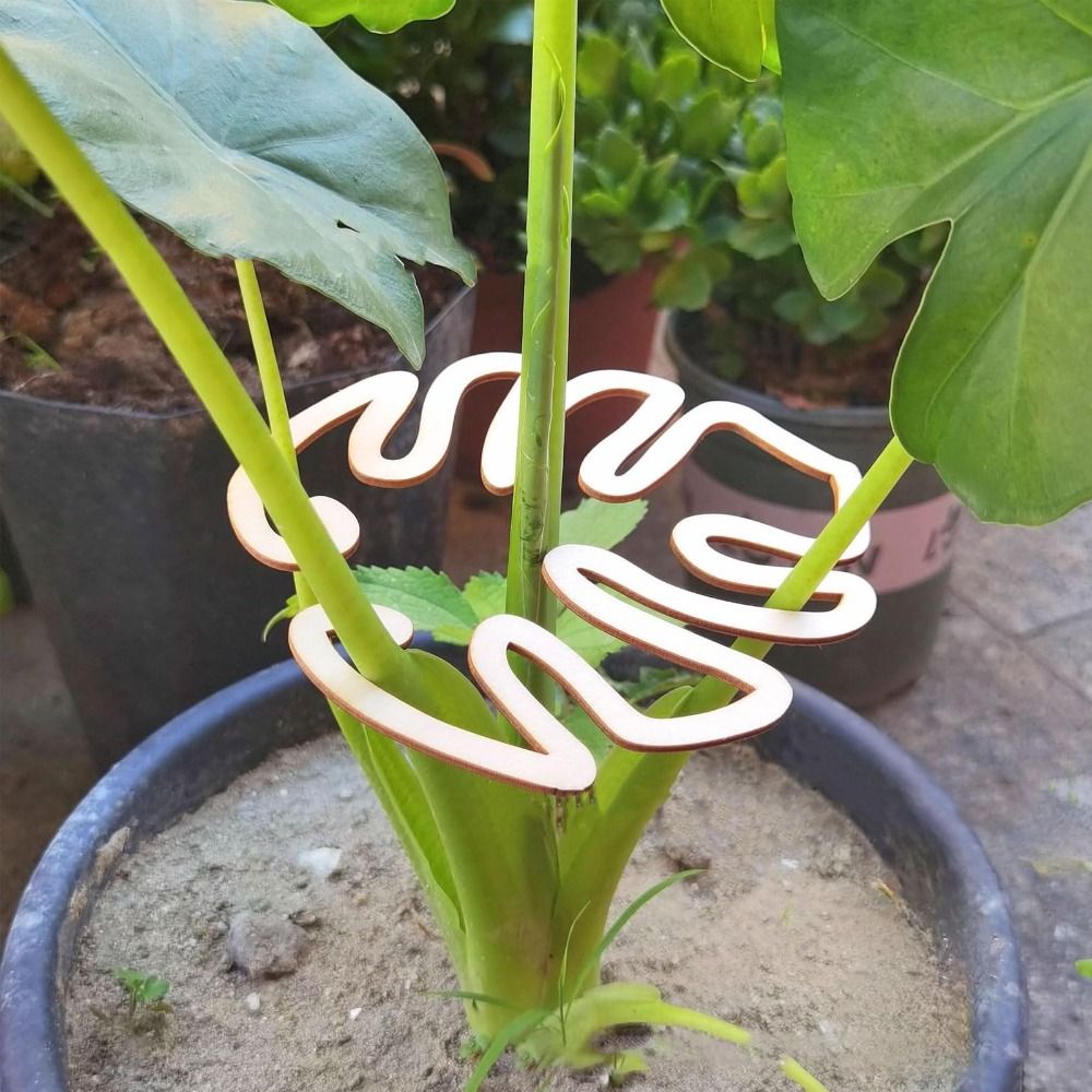 1/2PCS Reusable Turtle Shell B - Florist Supply Bulk review and price