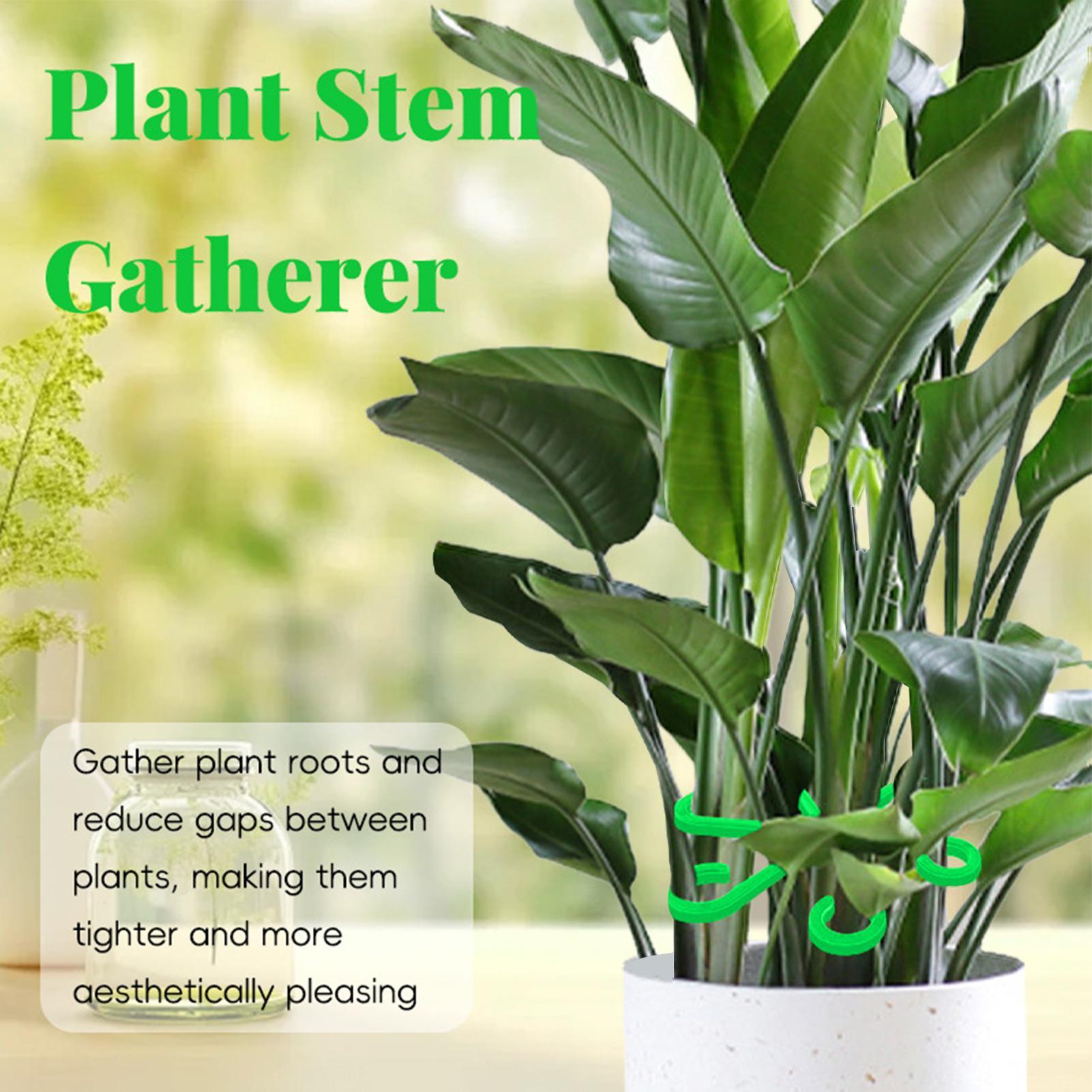 4pc Plant Fixing Clip Plant Cl - Florist Supply Bulk review and price