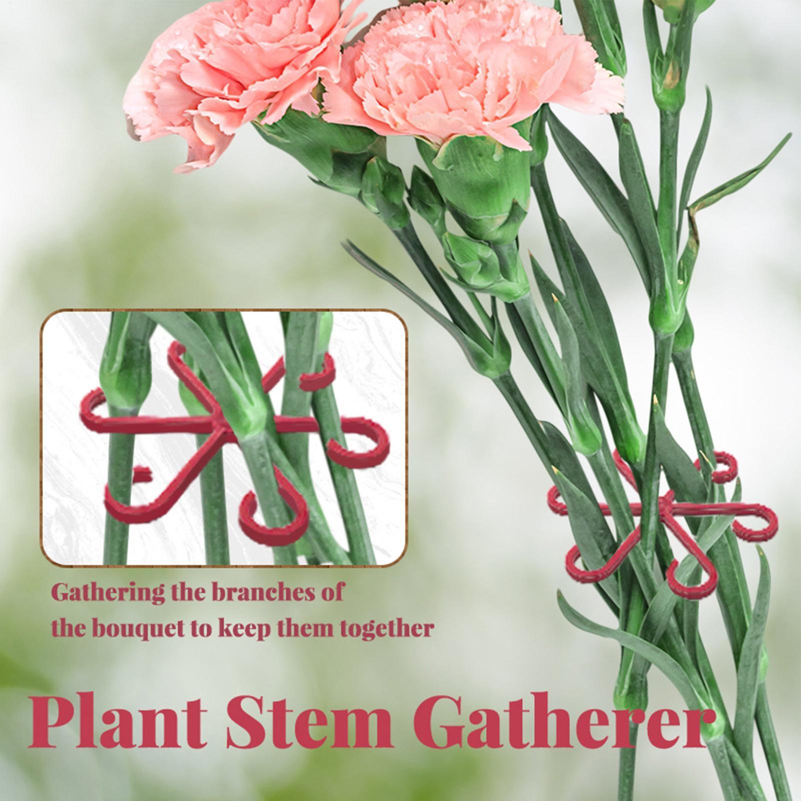 4pc Plant Fixing Clip Plant Cl - Florist Supply Bulk review and price