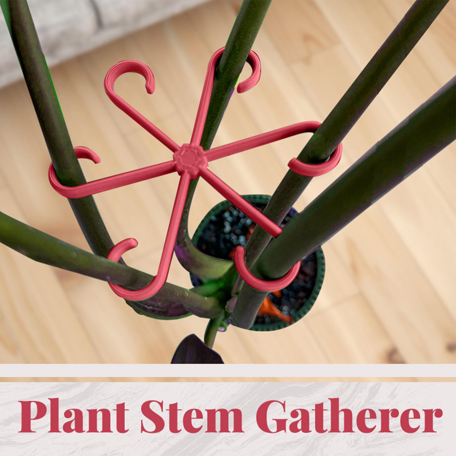 4pc Plant Fixing Clip Plant Cl - Florist Supply Bulk review and price